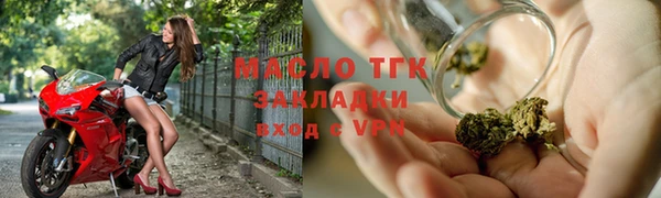 прущие грибы Аркадак