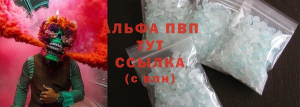 прущие грибы Аркадак