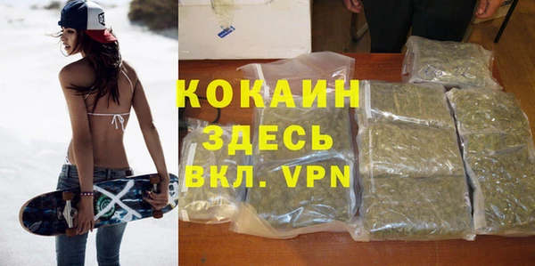 прущие грибы Аркадак