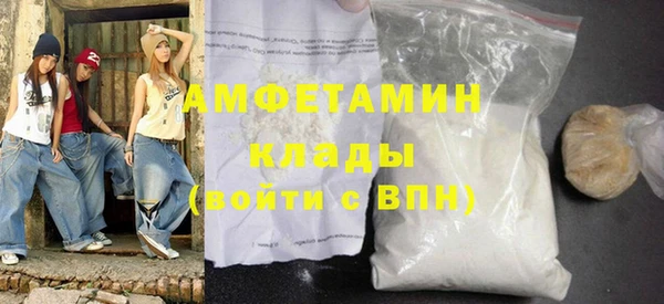 прущие грибы Аркадак