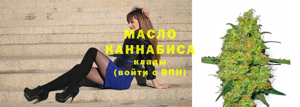 прущие грибы Аркадак